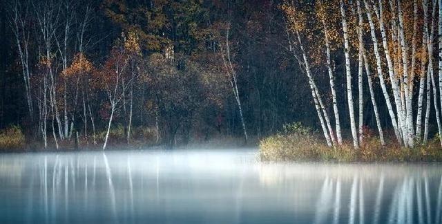 葱头|宠辱之间——争与不争