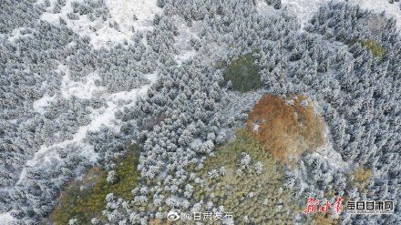 秋雪|宛若童话世界！一场秋雪惊艳马蹄寺风景区