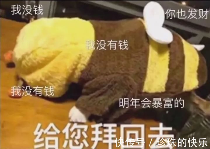 拜年|必存!新年拜年表情包丨第310期热门表情包