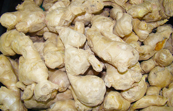 生姜片|生姜这么用,少往医院跑!一块生姜“8种病”,顶过一个老中医