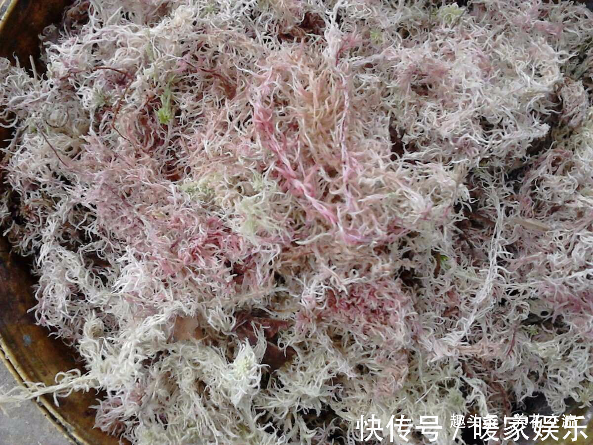 种花泥土有味道