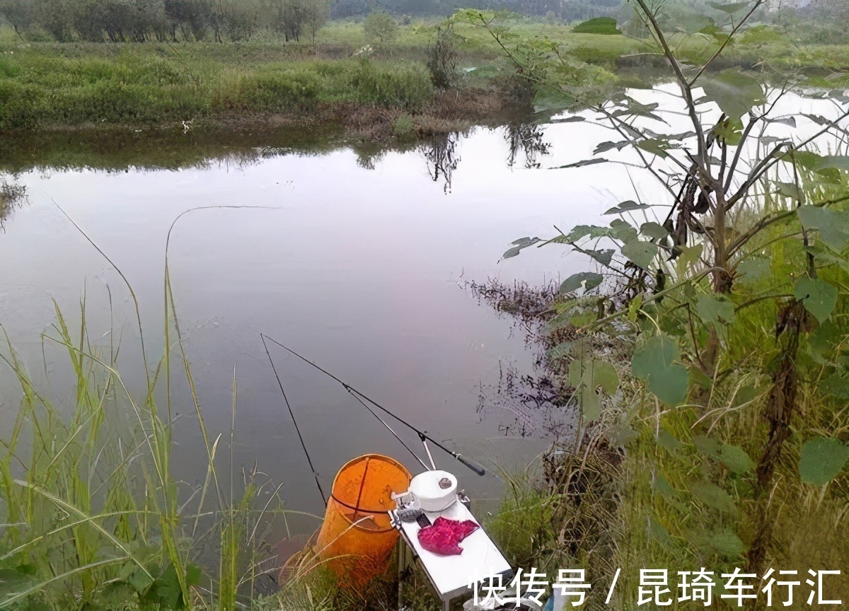 谁说钓鱼没有玄学，这几个邪门规律，只要是个钓鱼人，就都经历过