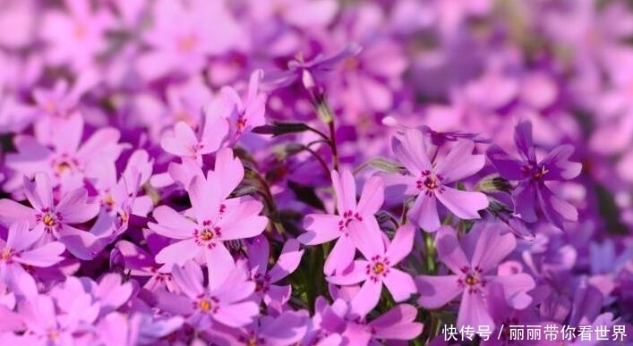 2021年的第一次超级月亮,你准备好了吗?