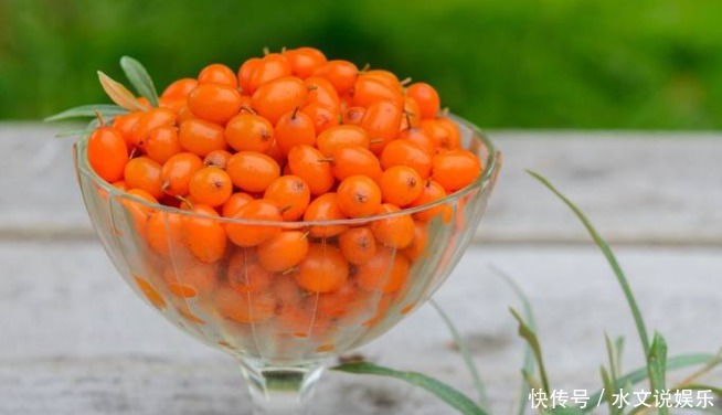 农民叫一种野果为“救命果”,吃一点防心脏病、能抗癌、治失眠!