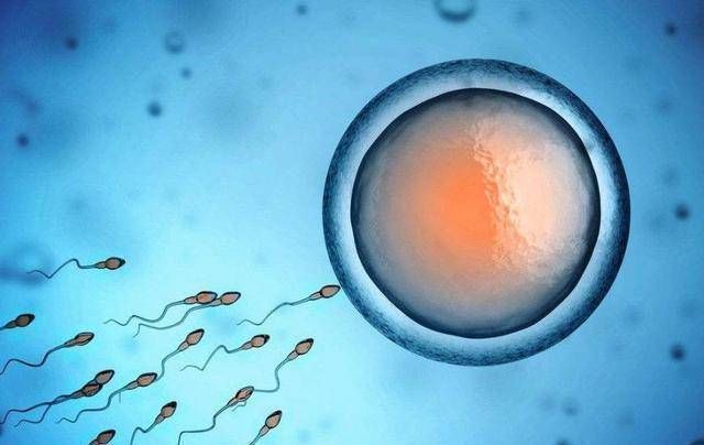 一个月|女人一个月排几次卵卵子排出时的这3种感觉,你感受到了吗