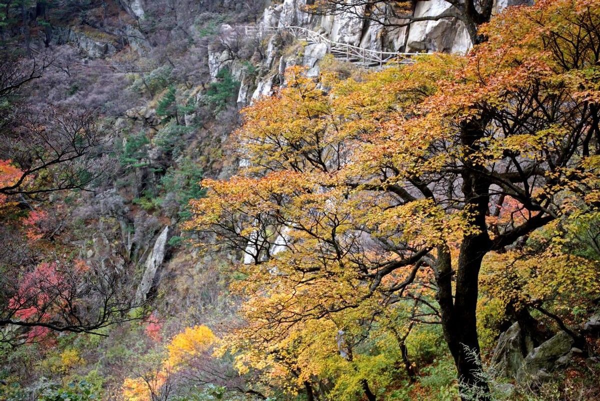 梅尧臣|河南尧山：中原独秀 近悦远来