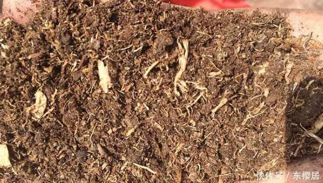 多肉养不好,看这里,掌握这些配土方法,幼苗和老桩都能养好