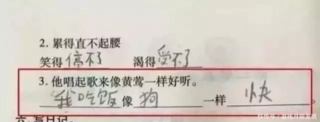 美文|小同学写的奇葩作业，老师看了都不忍心责骂了！