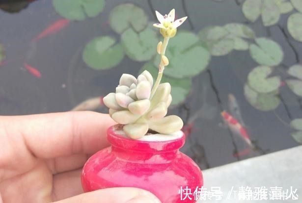 切割机|花盆买不起,自己动手做,好看又实用!花盆买不起,自己动手做,好看又实用!