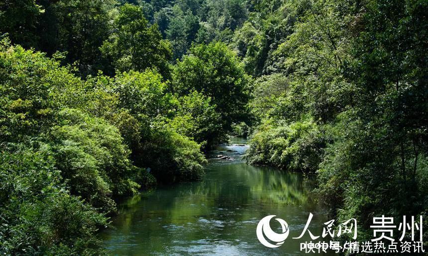 阿哈湖国家湿地公园|贵阳阿哈湖国家湿地公园：夏日避暑胜地 为城市增添一抹清新为城市增添一抹清新