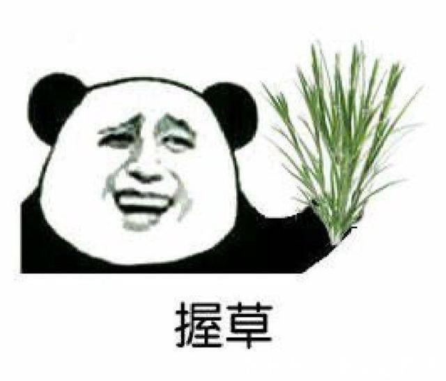 |十条段子:爱河伤心难过,大鹅暖心抗饿