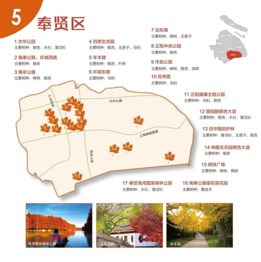 红叶|收藏9张“郊区红叶地图”！上海秋天真好看