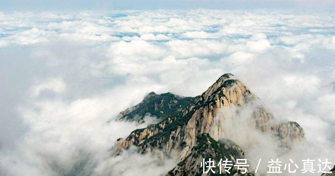 意境|王安石最有意境的一首诗,看似写得很一般,读来却让人拍案叫绝!