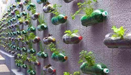 养花|除了花盆之外,这些东西也是绝佳的养花神器,你用过吗?