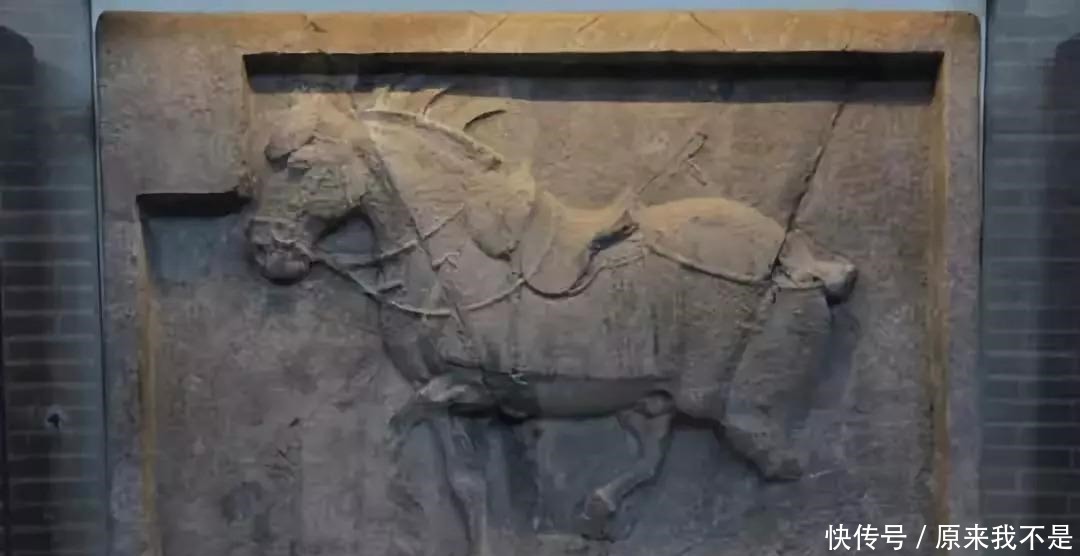 历史|艺术品里的历史 昭陵六骏与唐朝的养马事业!