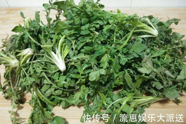 野菜|农村不起眼的4种野菜,含钙量比牛奶还高,老少皆宜,不吃可惜了