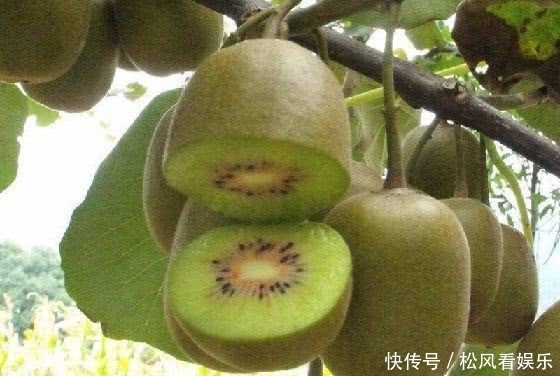 最适合女性的夏季水果,淡斑美白容颜常驻,值得分享