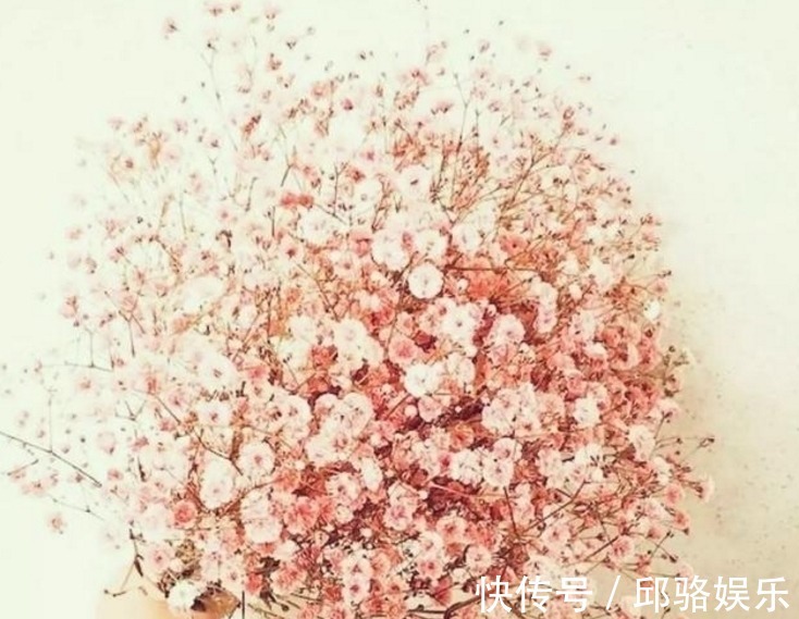 早发白帝城&六首“早安”诗词:风动影动心不动,独自沉香待花开