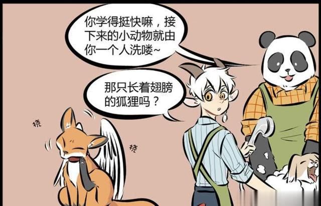 小狐|万圣街：中西妖怪大PK，带翅膀的小狐妖不好惹！