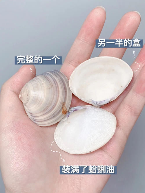 它们看起来是真的很恶心，但也是真的很好用！