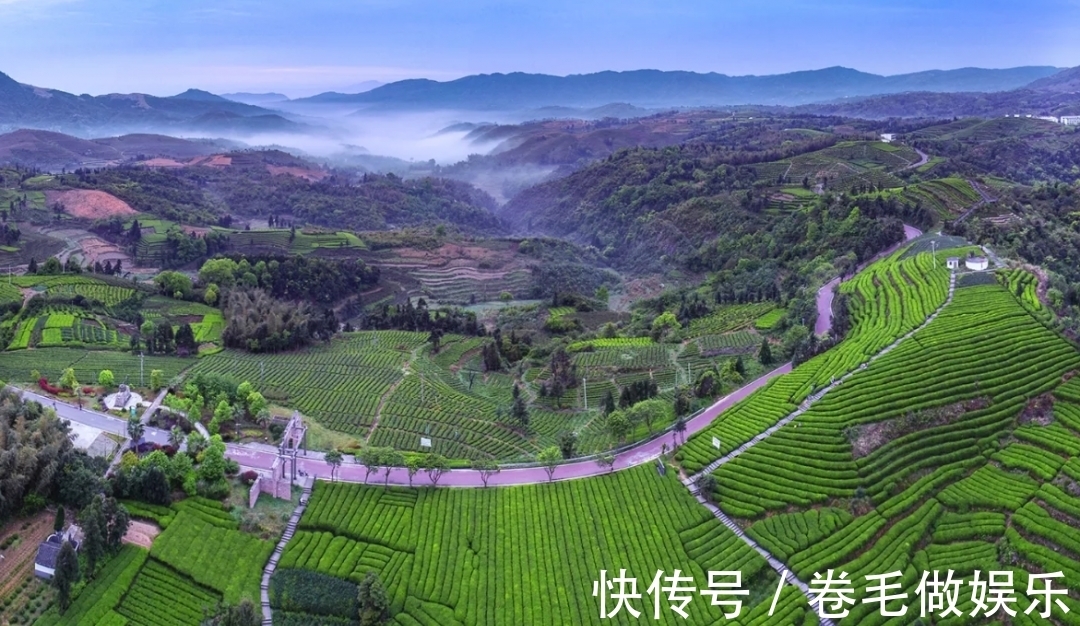 秋色|这几处温州秋日登高必去的山峰，每一寸秋色都很撩人！