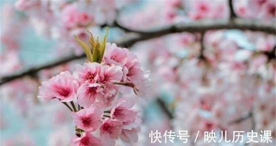 3天后,向往爱情,春意乍现,温情长流,为爱执着,大胆爱一回