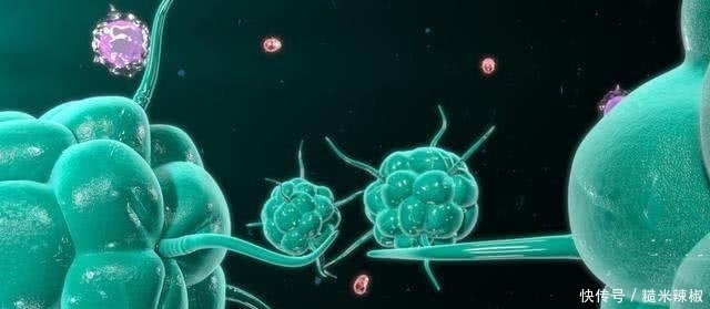 癌症患者|走路能抗癌,也可以治癌!4个走路法,癌症患者赶紧学起来!