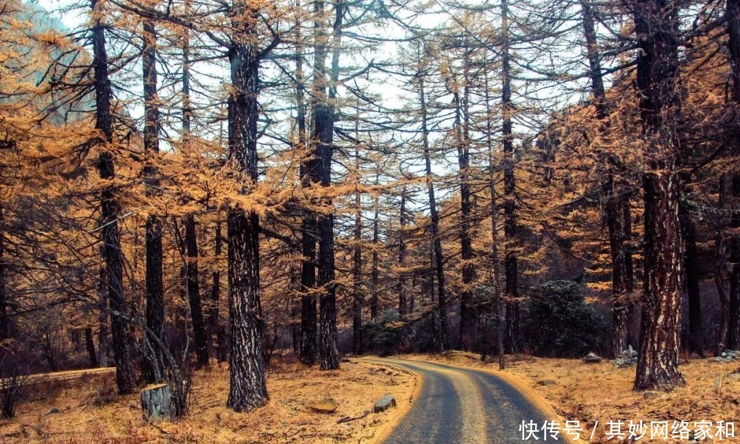 曾国藩240个子孙,无一个败家子,就凭这5句话