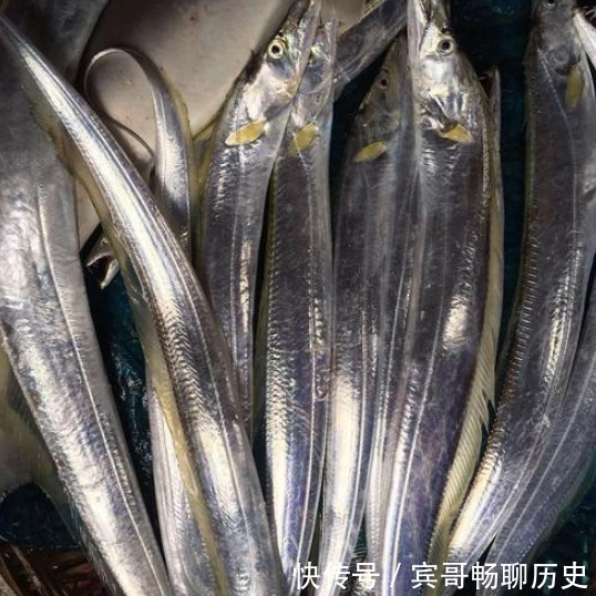 爱吃鱼,认准4种买,目前无法人工养殖,营养高味道鲜,还便宜