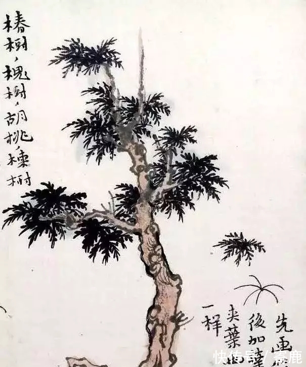 画树#国画教程|陆俨少树法