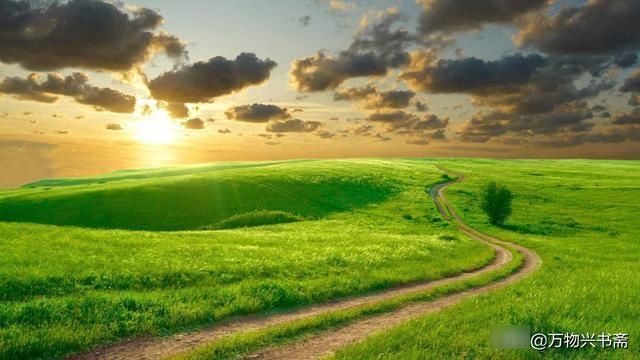 向晚意不适|「万物兴书斋」王忠敏行书作品鉴赏《登乐游原》