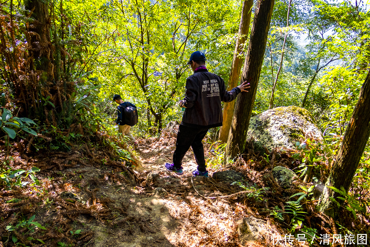 景色|景色迷人、没有门票的景区：阳春鸡笼顶，广东的万亩高山大草原