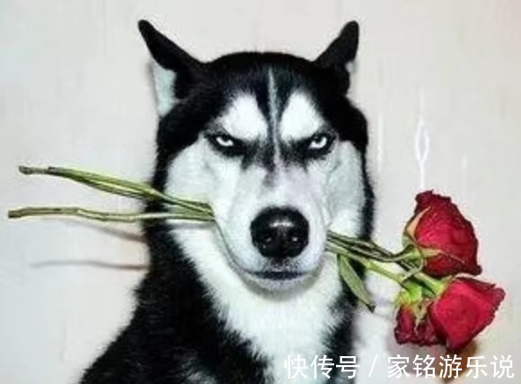 余象斗|古人比现代人朴实吗?明朝一桩奇案显示,他们的心机深不可测