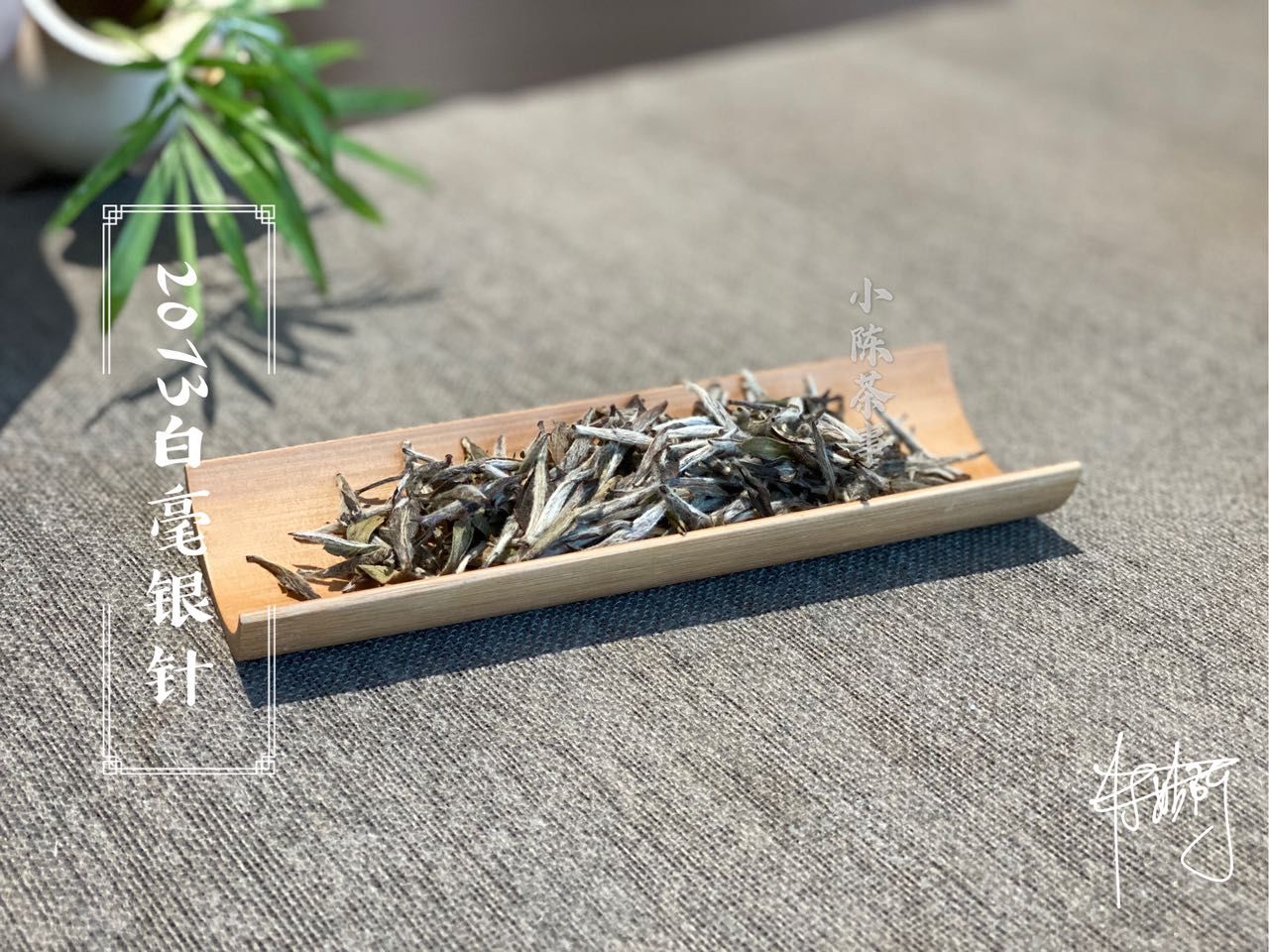 李林甫|老白茶当口粮茶，前几天刚喝过母树大红袍，数数茶圈的奇葩语录