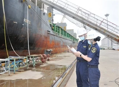 上半年天津保税维修进出口超93亿元 进口船值同比增长两倍