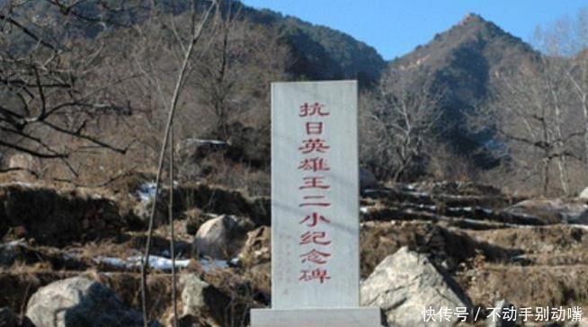 儿时|王二小13岁死于日本人之手,儿时放牛伙伴为他守墓58年,感动!