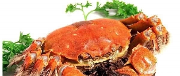 来华访问|日本天皇来华访问，宴会上要求撤下1道菜，被中方直接拒绝！