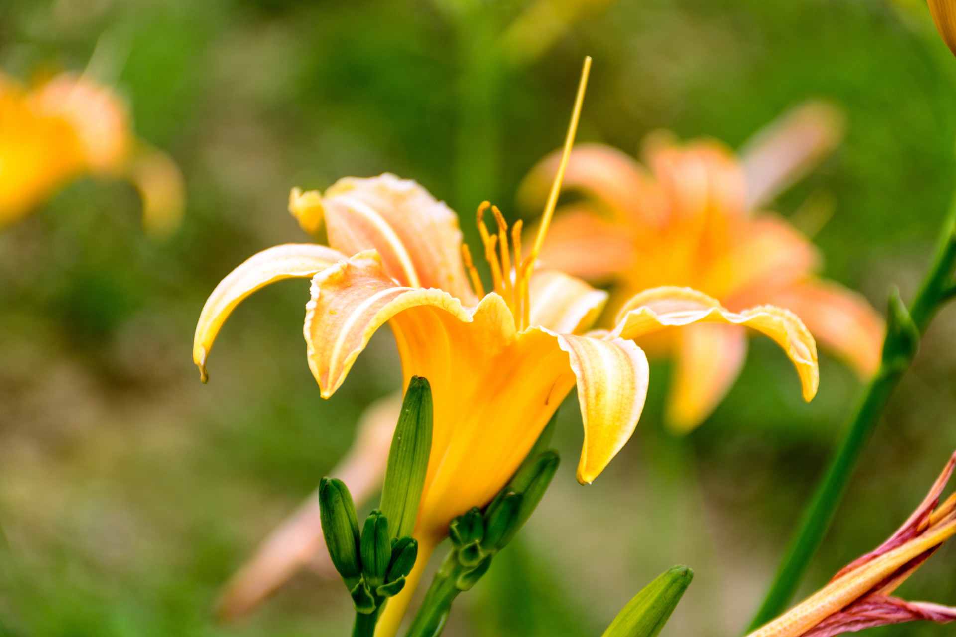 沉默是金&话不多的人,其实很厉害