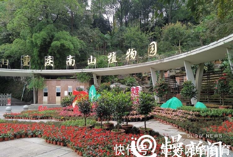 国民政府|老重庆南山植物园60岁了！为何这里面还有很多“大使馆”？