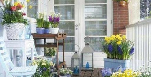 3种耐阴花,长久无光照样开花,养护省心不省美丽!