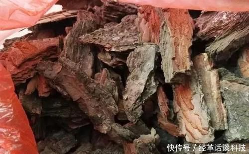 没人要的小东西,可是养花宝贝,捡一点掺盆里,全年不用施肥