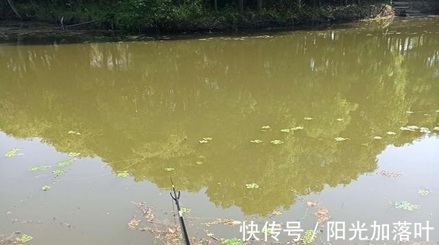 冬季钓鱼,别再“人找鱼”,下点猛料鱼儿乖乖“报道”!