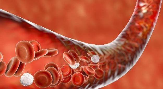 4种“碱性食物”经常吃,排出体内毒素,给血管“洗个澡”!