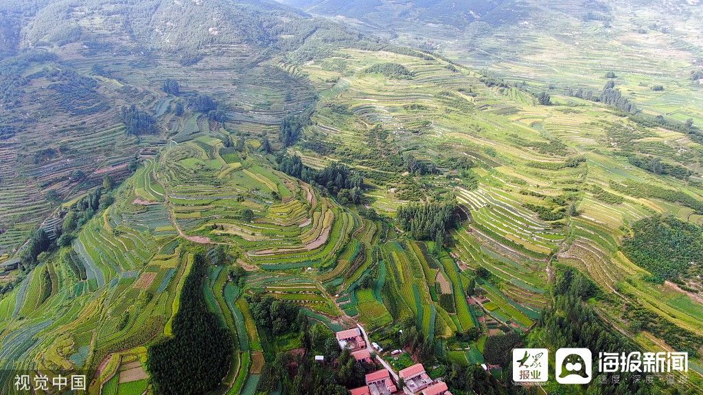 梯田|图看日照｜500米高空俯瞰壮美梯田