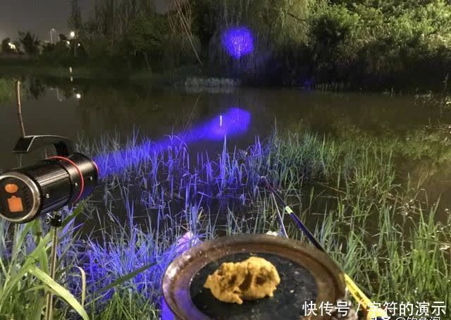 钓友|夜钓最怕选错时间！只要赶上鱼开口高峰期，一根竿忙不过来