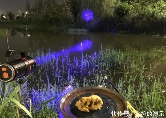 钓友|夜钓最怕选错时间!只要赶上鱼开口高峰期,一根竿忙不过来