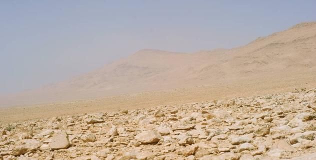  玫瑰|为何在沙漠看到“石头”要捡，有啥猫腻驴友错过就没机会了