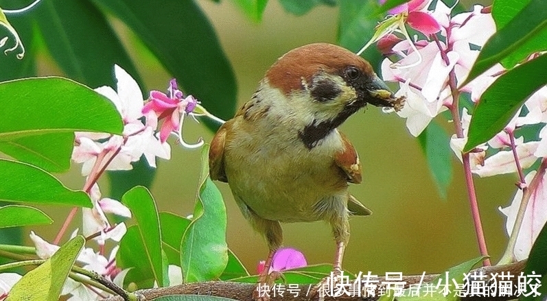 星座女|能娶到这几个星座女，才是真的运气好！知书达理，善解人意还旺夫