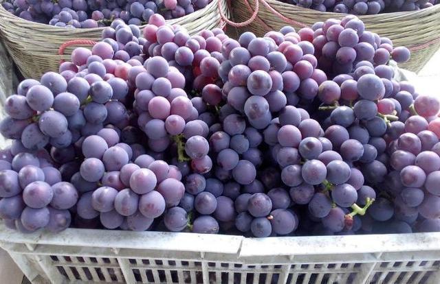 尿酸|7种碱性水果,每一个都是排尿酸高手,痛风的人要多吃些,了解下