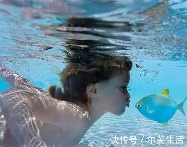 生活篇|优秀的孩子是这样培养的(教育篇、成长篇、生活篇、学习篇)建议永久保存!